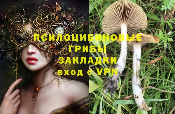 спайс Лабытнанги