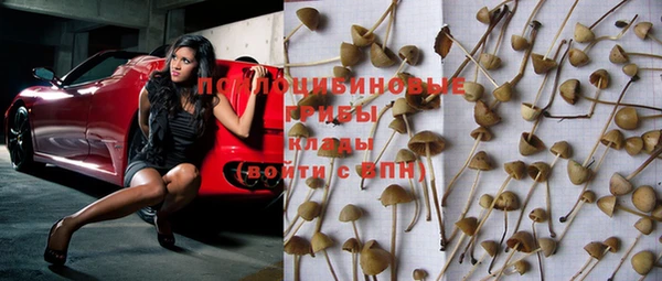 ГАЛЛЮЦИНОГЕННЫЕ ГРИБЫ Ладушкин