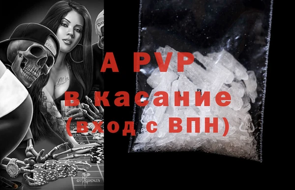 ГАЛЛЮЦИНОГЕННЫЕ ГРИБЫ Ладушкин