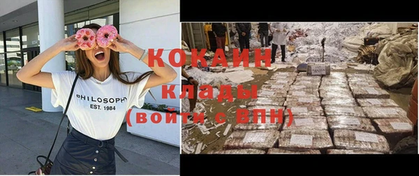 индика Орск
