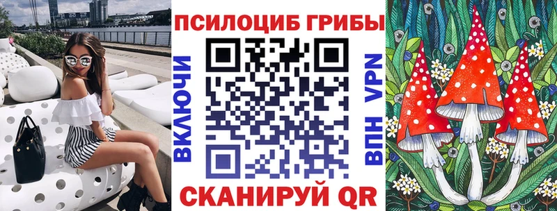 Псилоцибиновые грибы Psilocybe  Темрюк 