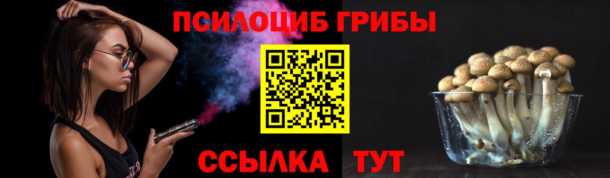 Галлюциногенные грибы мицелий  Вход с VPN  Темрюк 
